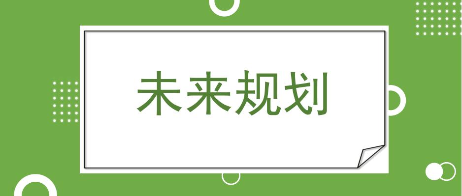 未来规划